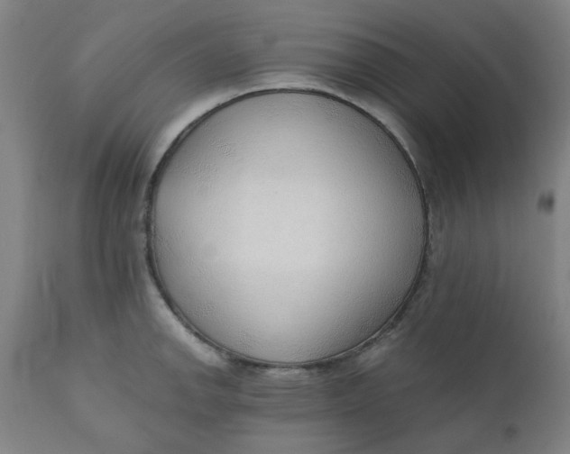X0000110671142200907021840