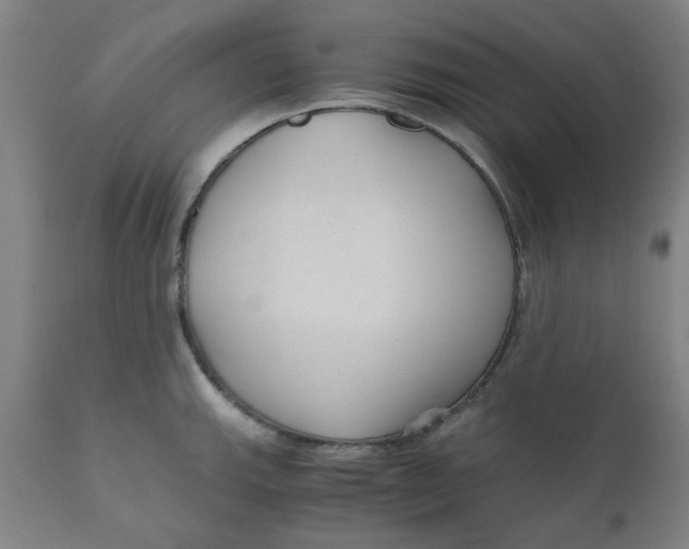 X0000110671143200907021840