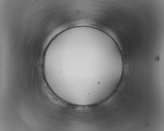 X0000110671146200907021840