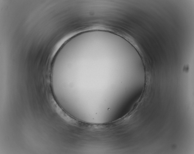 X0000110671148200907021840