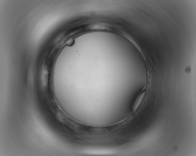 X0000110671151200907021840