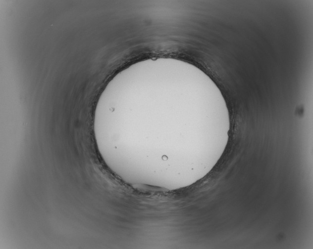 X0000110671153200907021839