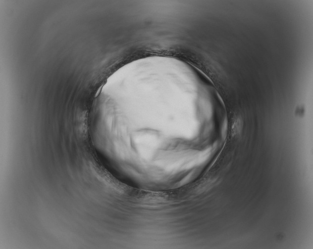 X0000110671156200907021839
