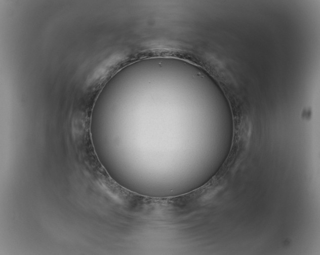 X0000110671157200907021839
