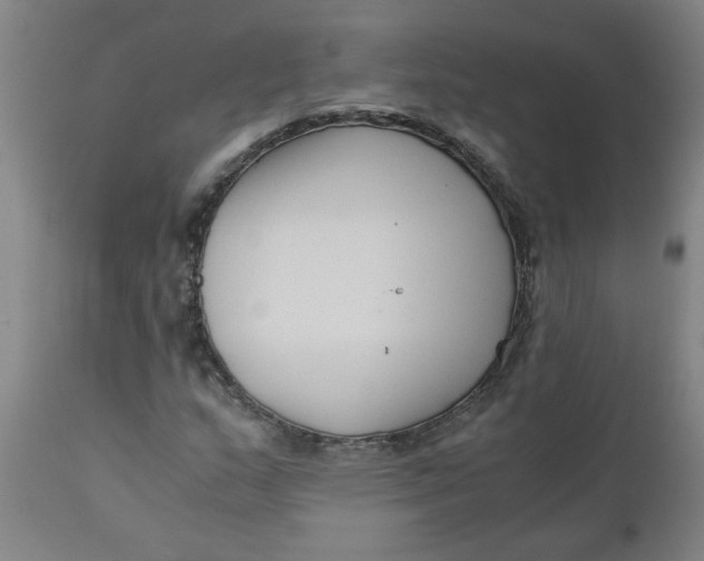 X0000110671159200907021839