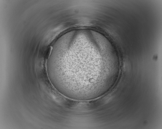 X0000110671161200907021839