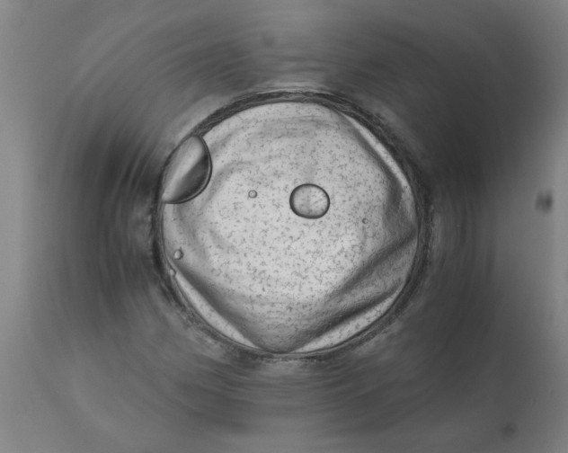 X0000110671162200907021839