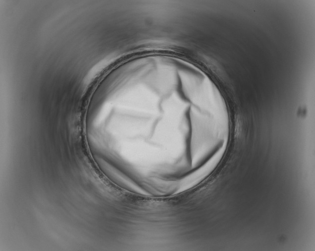 X0000110671164200907021839