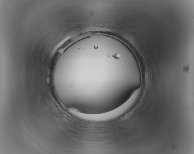 X0000110671165200907021839