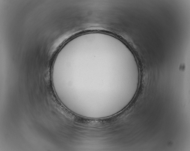 X0000110671167200907021839