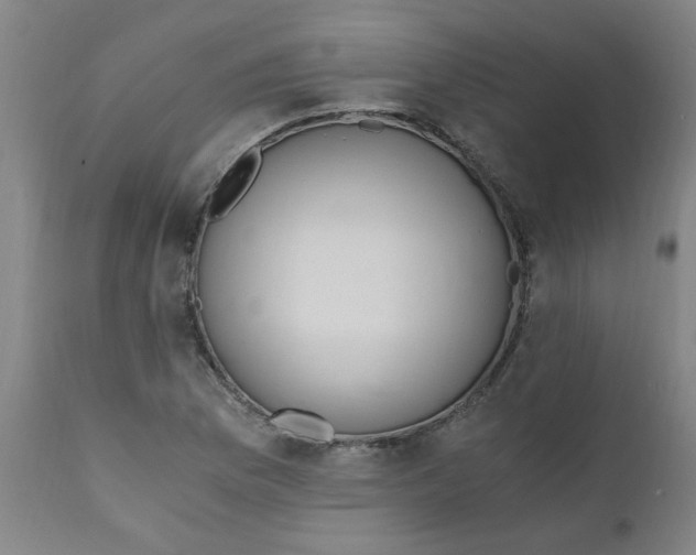 X0000110671169200907021839