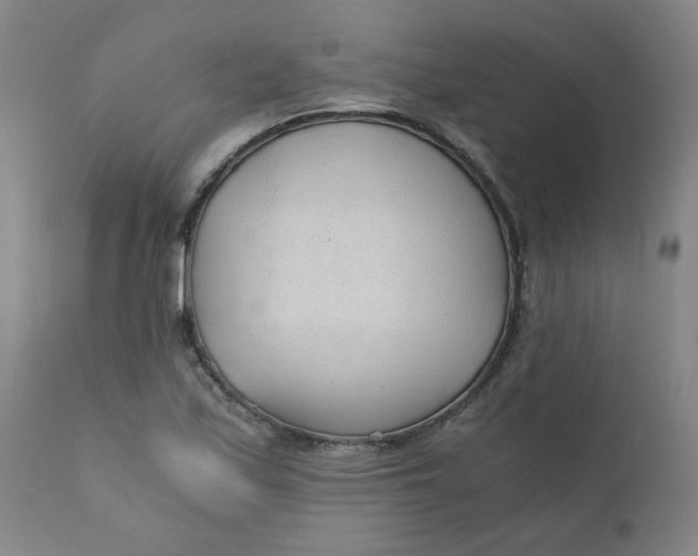 X0000110671171200907021839