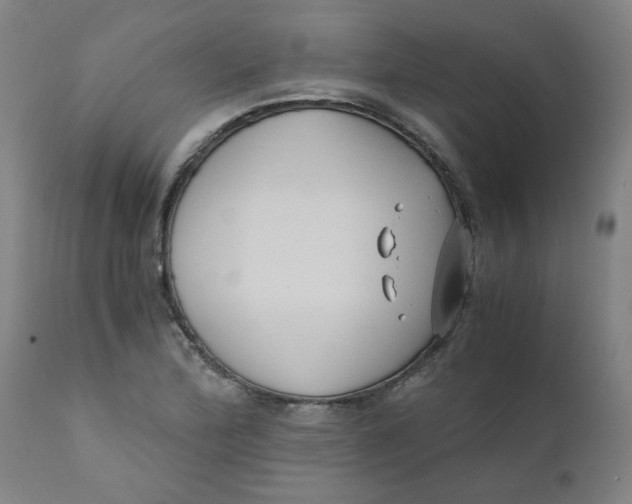 X0000110671172200907021839