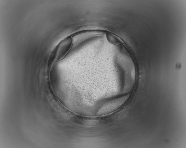 X0000110671173200907021839