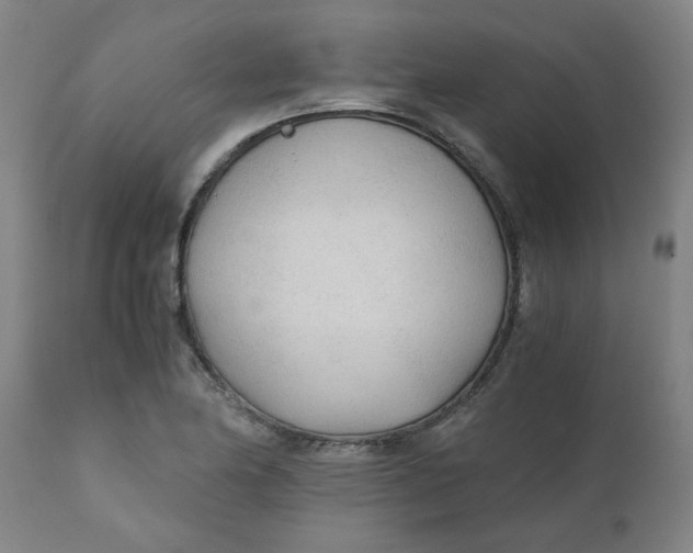 X0000110671174200907021839