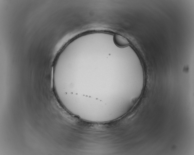 X0000110671175200907021839