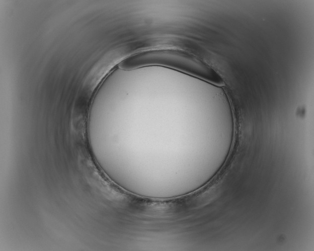 X0000110671177200907021839