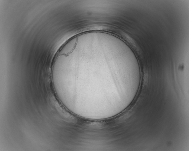 X0000110671178200907021839