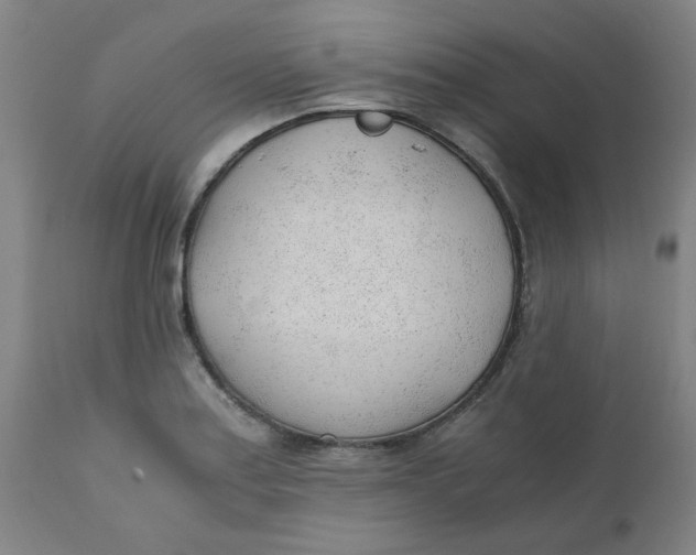 X0000110671179200907021839