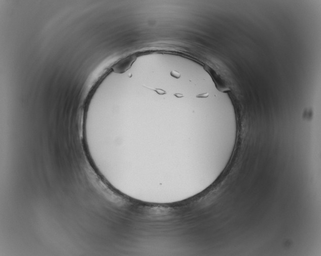 X0000110671180200907021839