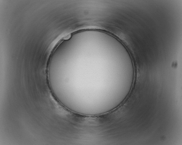 X0000110671181200907021839