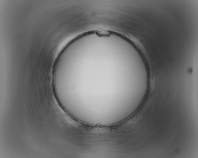 X0000110671183200907021839