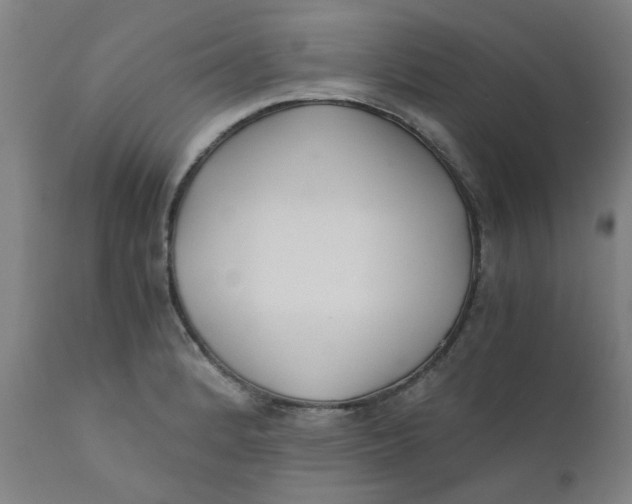 X0000110671184200907021839