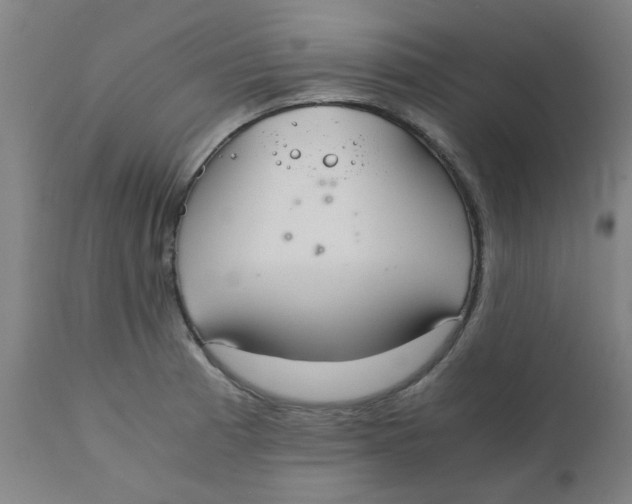 X0000110671185200907021839