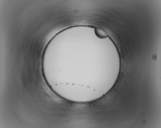 X0000110671187200907021839