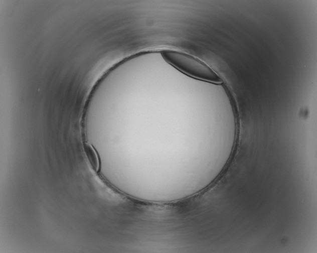 X0000110671189200907021839