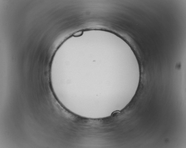 X0000110671191200907021839