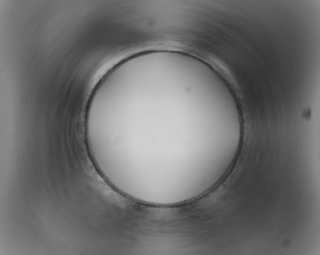 X0000110671192200907021839