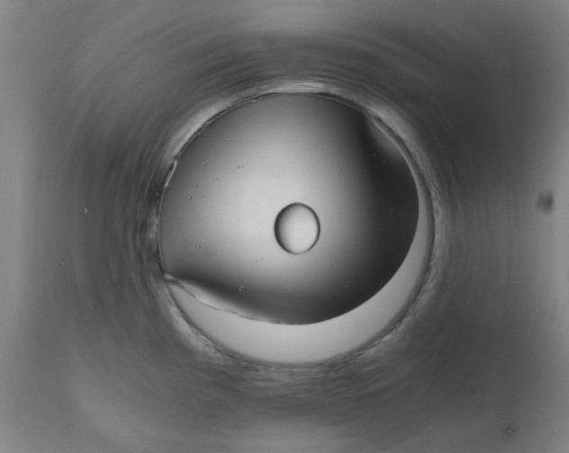 X0000110671193200907021839