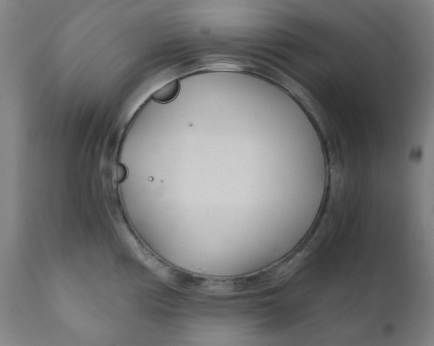 X0000110671194200907021838
