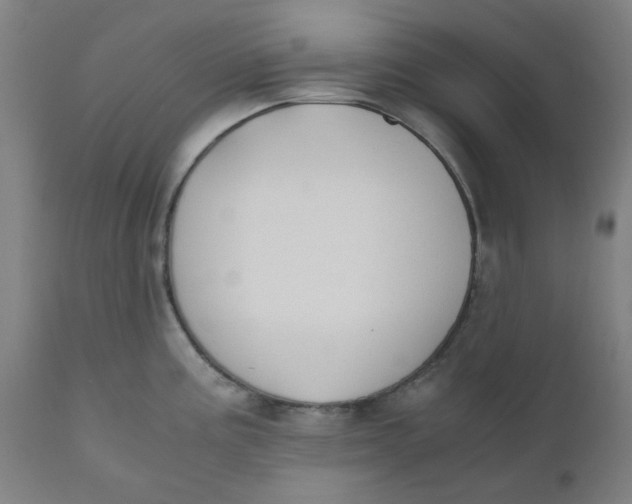 X0000110671195200907021838