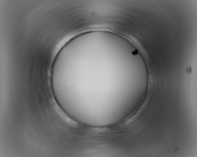 X0000110671196200907021838