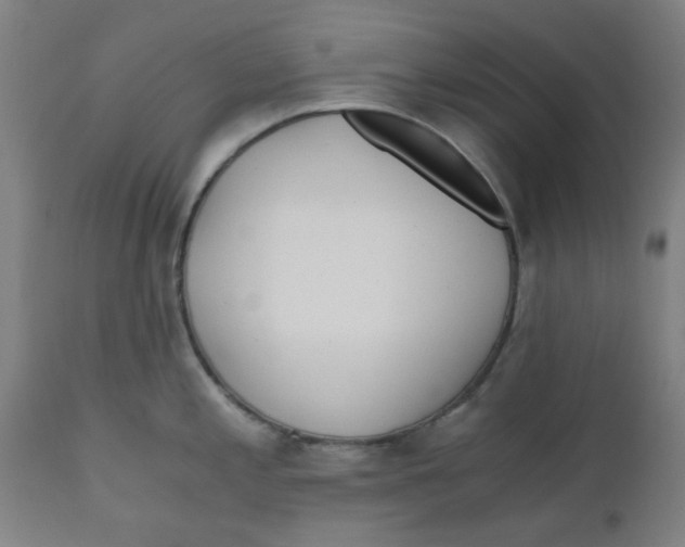X0000110671197200907021838