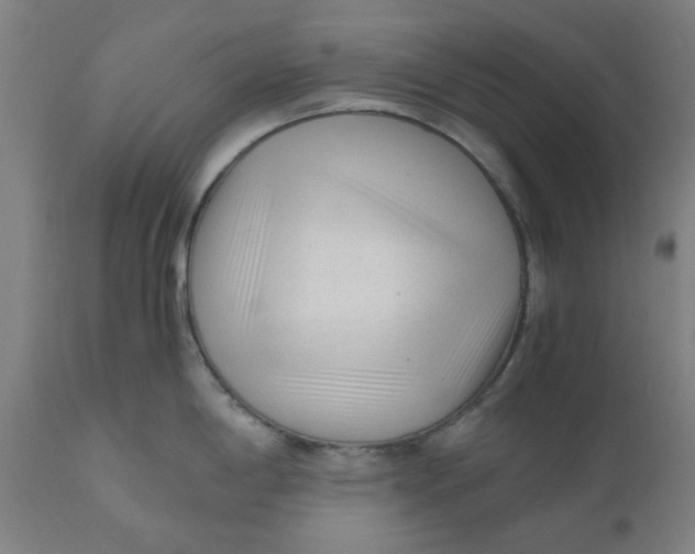 X0000110671198200907021838