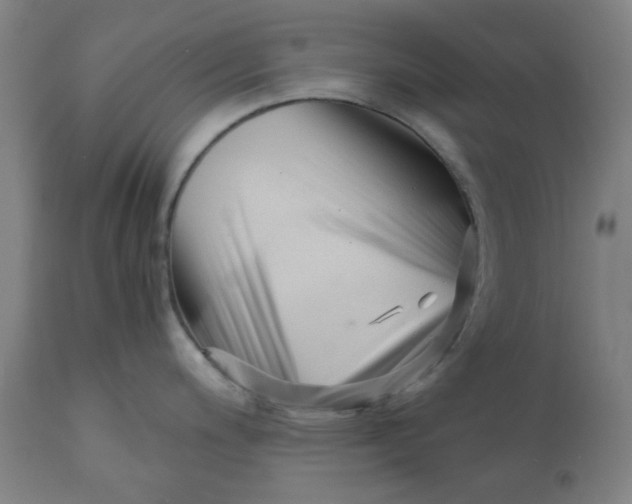 X0000110671200200907021838
