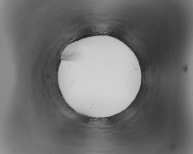 X0000110671201200907021838