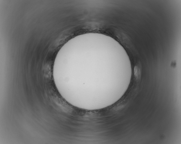 X0000110671203200907021838