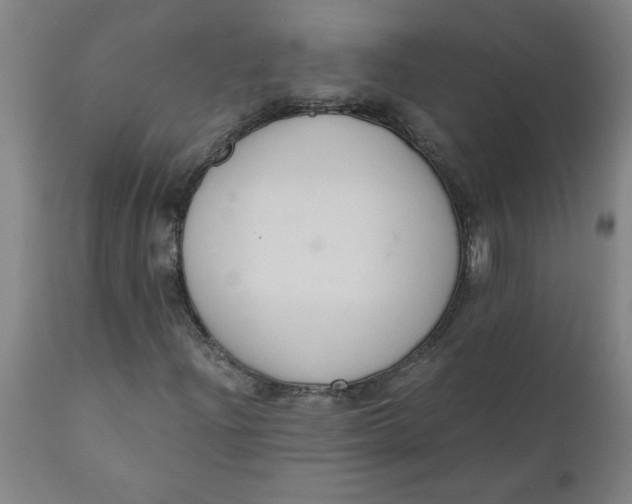 X0000110671204200907021838