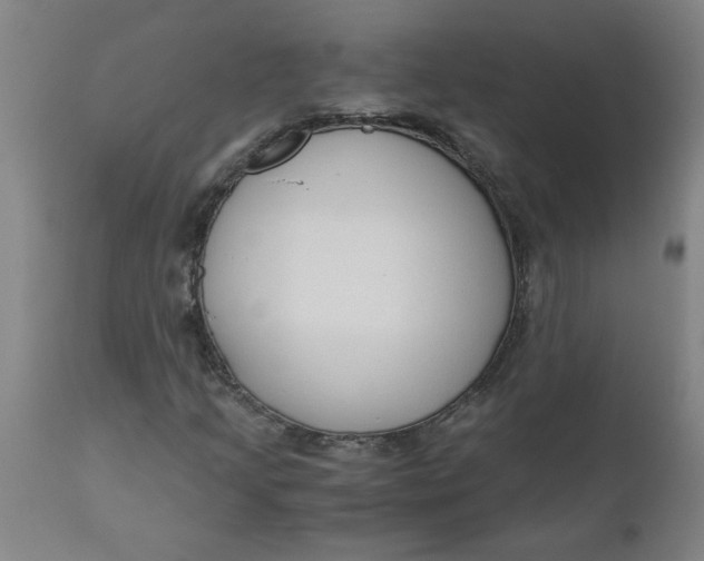 X0000110671205200907021838