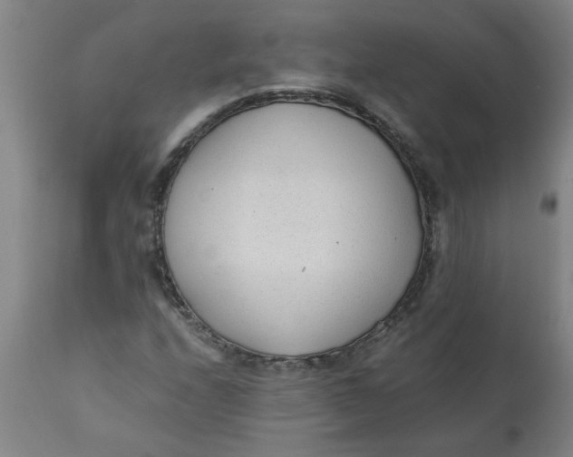 X0000110671208200907021838
