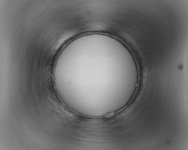 X0000110671210200907021838