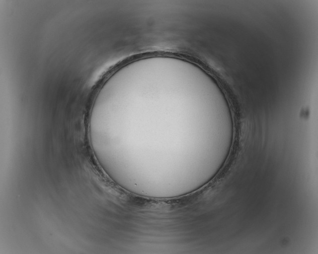 X0000110671214200907021838