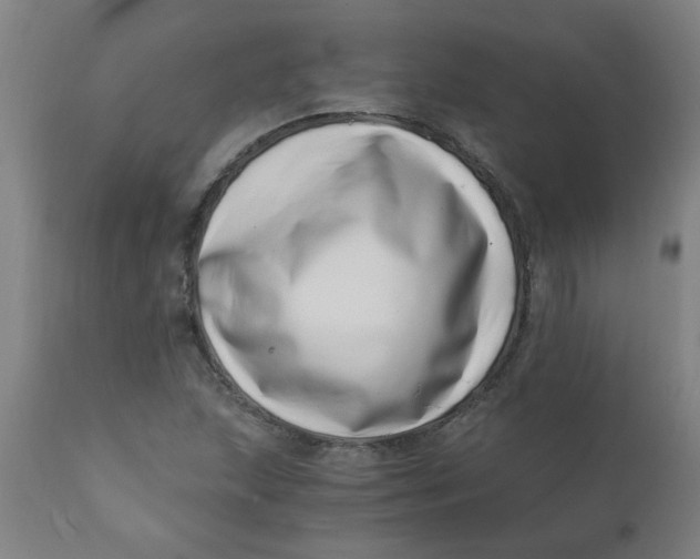 X0000110671215200907021838
