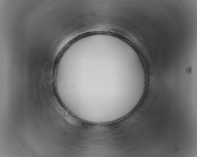 X0000110671216200907021838