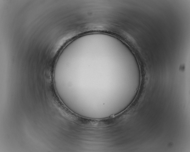 X0000110671218200907021838