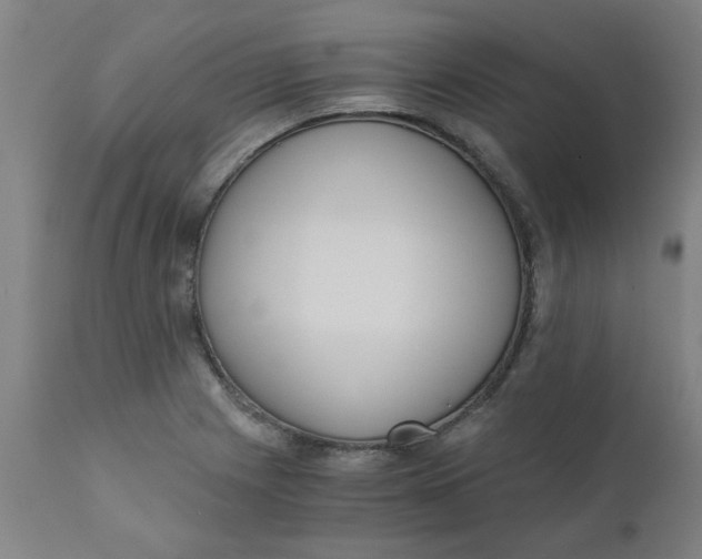 X0000110671225200907021838